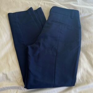 Express columnist ankle pants